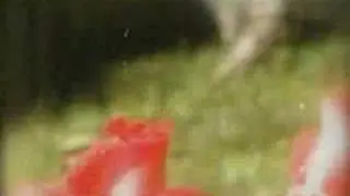 Salvatore Adamo - Se feliz rosa
