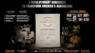 AB InBev - Contract For Change (Case Study) | Campaign