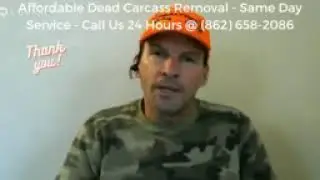 Who Do You Call To Remove A Dead Dog Newark - Voted  Pest Control Newark (862) 658-2086