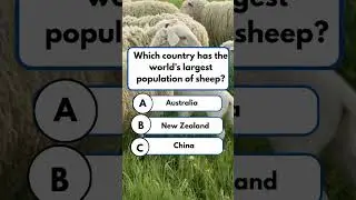 Which Country Has The world Largest Population of Sheep?#usa #quiz #viral #trending #china #gk