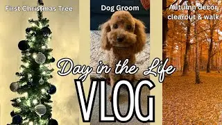 DITL | First Christmas tree up | Autumn clean up | Dog Groom| Bedroom tidy