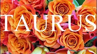 TAURUS AUGUST 2020 MONTHLY LOVE TAROT READING&rdquo; THINGS CHANGE FOR THE BETTER BETWEEN YOU &ldquo;🌹❤️💗😂