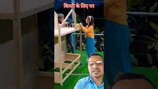😱बिल्ली के लिए घर 🏡 - mini wood toy- woodworking art skill // #shortsfeed #trending #shorts