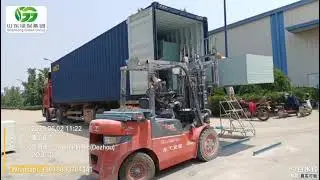 100 times use concrete slabs forms construction plastic pvc shuttering ply formwork 18mm 1.22x2.44m