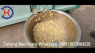 How to remove skin of broad beans,automatic broad bean peeling machine factory.