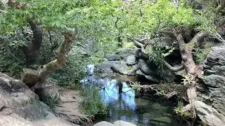 Last time in Richtis Gorge ? Crete, Greece 2023