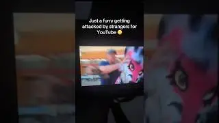 Have you seen this vid? #publicfreakoutcompilation #fight #attacked #furry #fursuit #angry