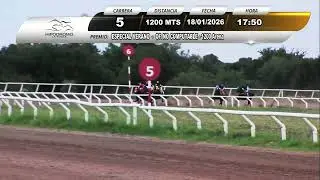 Hipódromo La Punta - ESPECIAL VERANO (Carrera 5) 18/01/26