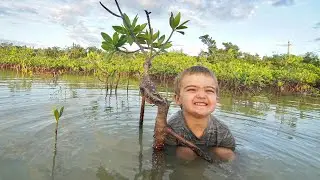Discovery Time: Water!