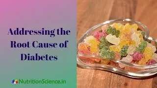 Addressing the Root Cause of Diabetes
