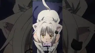 High School DxD 人気ランキング😍 #anime #highschooldxd