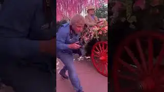 Dolly Parton in Dollywood