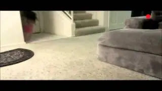 Jinsu Hitting Jasmine Villegas (Scene from 'Didn't Mean It')