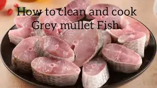 How to clean Grey mullet fish and cook.