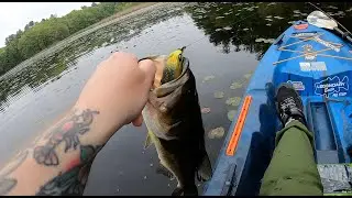 Fishing For Big Bass: Frog and Texas Rig Fishing!