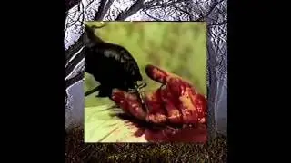 $UICIDEBOY$ - EVOLUTION (PRETTY GOOD MOVIE/PRETTY GOOD THEORY) (Bass Boosted)