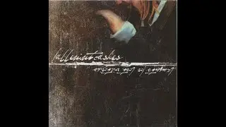 Fallen Into Ashes - Laments For Lost Victories (2004)