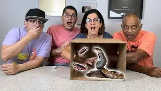 O QUE TEM NA CAIXA COM A FAMÍLIA COMPLETA!!! - Família Velhote