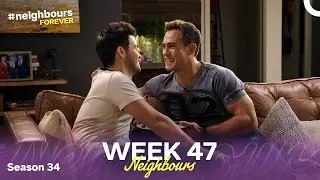 WEEK 47 | Episodes 7981-7985 | Neighbours 2018 (Season 34)