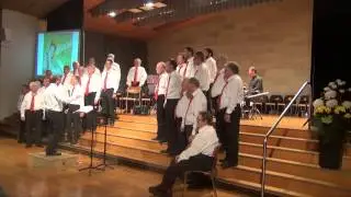 Schlagerfestival M&auml;nnerchor H&ouml;ngg 2013 Teil 4