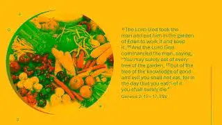 5  53  Implementing Biblical Health Principles  11 16 25