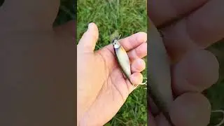Handmade Lure Ishi 70F before Testing