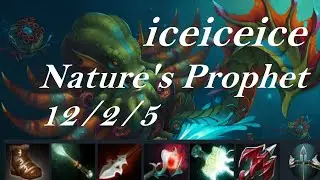 iceiceice Nature's Prophet-works very well w/ clockwerk-Sirius vs Fnatic full game2 - World E-sports