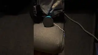 Небольшой разговор с моим устройством Alexa ￼