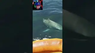 SHARK ATTACK!! Stranded Deep