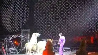 Ringling Bros. Circus Event! The Greatest Show On Earth! BEST VIDEO EVER! 3/2012.