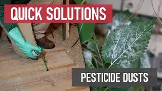 Quick Solutions: How to Use Pesticide Dusts