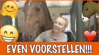 Nieuwe paarden op stal!!! | PaardenpraatTV