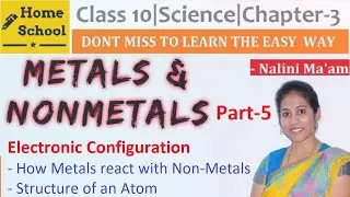𝐌𝐞𝐭𝐚𝐥𝐬 𝐀𝐧𝐝 𝐍𝐨𝐧 𝐌𝐞𝐭𝐚𝐥𝐬  𝐂𝐥𝐚𝐬𝐬 𝟏𝟎 𝐂𝐡𝐞𝐦𝐢𝐬𝐭𝐫𝐲 𝐍𝐂𝐄𝐑𝐓 𝐂𝐁𝐒𝐄 𝐏𝐚𝐫𝐭-5