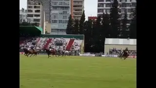 Polo Match in Buenos Aires Argentina