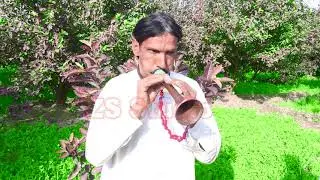 #king #dhol shenai 2020 || best dhol #shehnai 2021 |