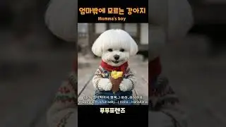 엄마밖에 모르는 강아지