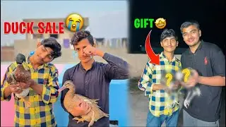 PET HOUSE KA LIYE ASEEL PAIR LA AYE🥳|| 2 DUCKS KO SALE KAR DIYA 😭