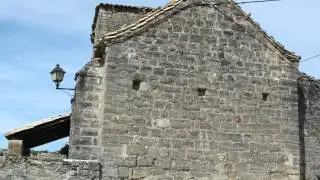 Ozkoidi