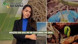 Federarroz orienta reduzir área plantada de arroz na safra 2025/26, enquanto rizicultor enfrenta...