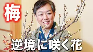 【生け花】寒いからこそ美しい花から、メンタルを学ぼう