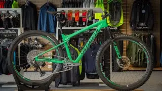 Rower Specialized Epic World Cup Expert 2024 | Gloss Electric Green / Forest Green Pearl 🚴&zwj;♂️🌿