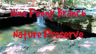 Nine Penny Branch Nature Preserve Indiana