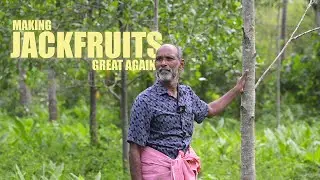 This man planted over 25000 jackfruit trees in Kerala