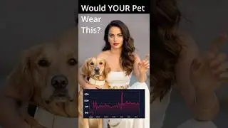 Would your pet wear this? #PetWearables #AIforPets
