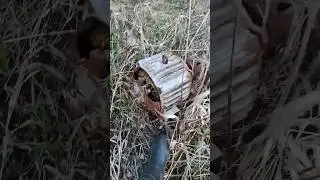 Металлокоп2023,находочки лета