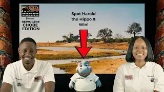 Shearwater NewsCore | Episode 3 - Chobe Day Trip Experience| Spot Harold the Hippo & Win!