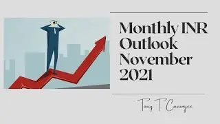 Monthly INR Outlook November 2021 | Tariq Carrimjee