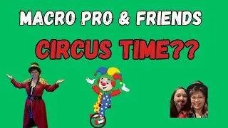 CIRCUS TIME? MACRO PRO & FRIENDS SEMINAR  #claims #workcomp #insurance #riskmanagement #circus