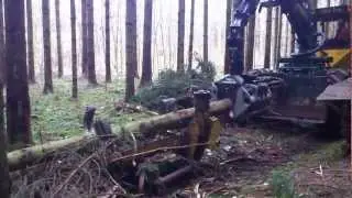 Silvatrade Entaster HSM 805HD Vollbaumentastung