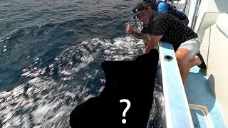 You wont believe what I caught  in Quepos, Costa Rica!